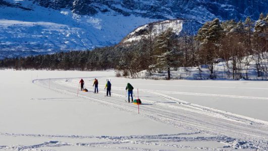Ski-Tour auf dem Kungsleden zwischen Abisko nach Vakkotavare