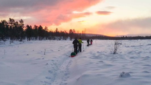 Direktflug ab Zürich - Silvester in Lappland-Hundeschlitten und Sauna und Eislochbaden, Nordlichtspektakel, Schneeschuhlaufen, Ski