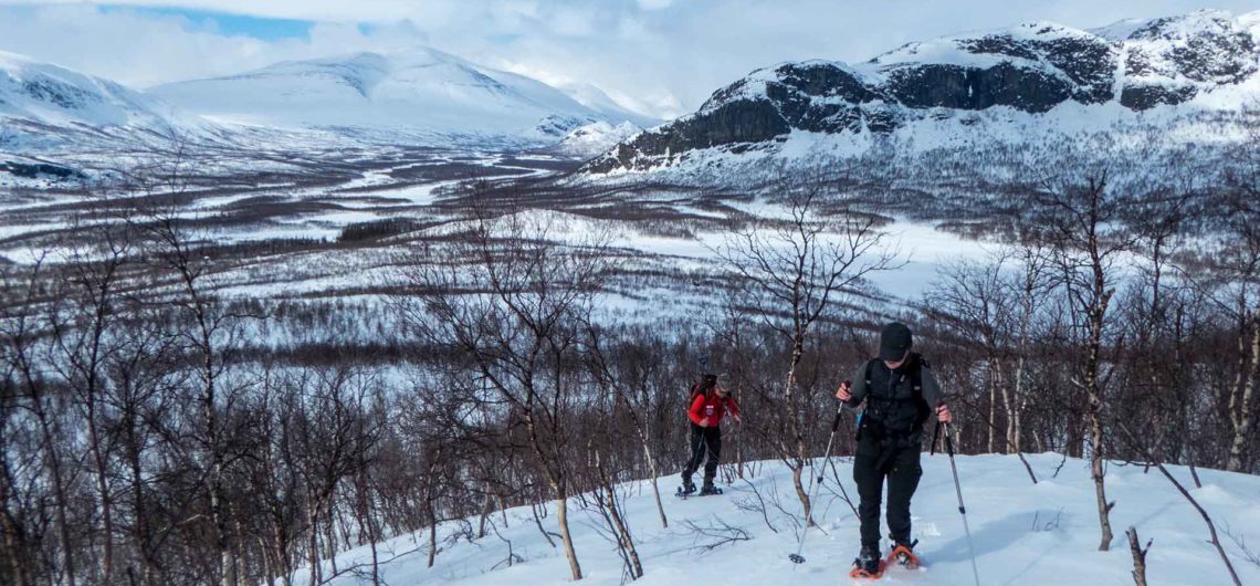 arctic-mountain-team Sarek