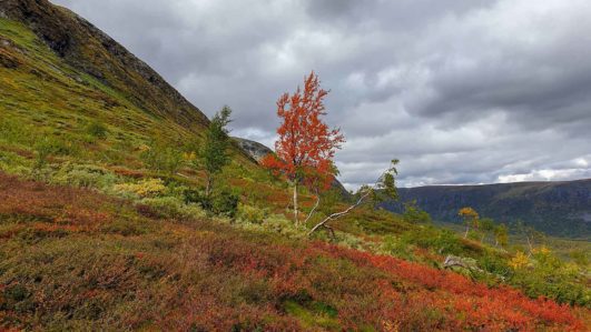 Hüttentour durch das einsame Vindelfjäll
