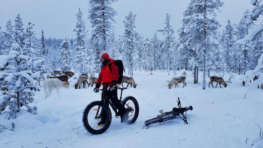 Best of Winter - Aktivwoche in Ylläs, Finnisch-Lappland